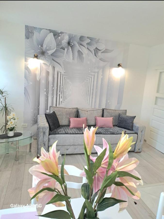 Apartment Marina 2 Котор Екстер'єр фото